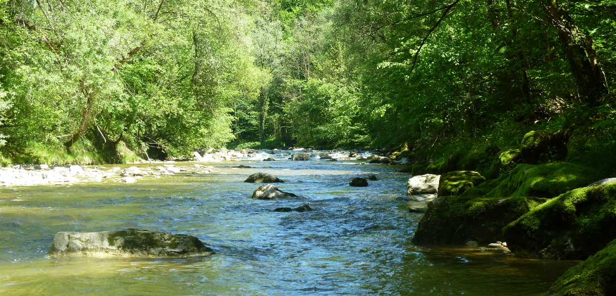 Leiblachtal erleben das Leben rund um die Leiblachtalgemeinden